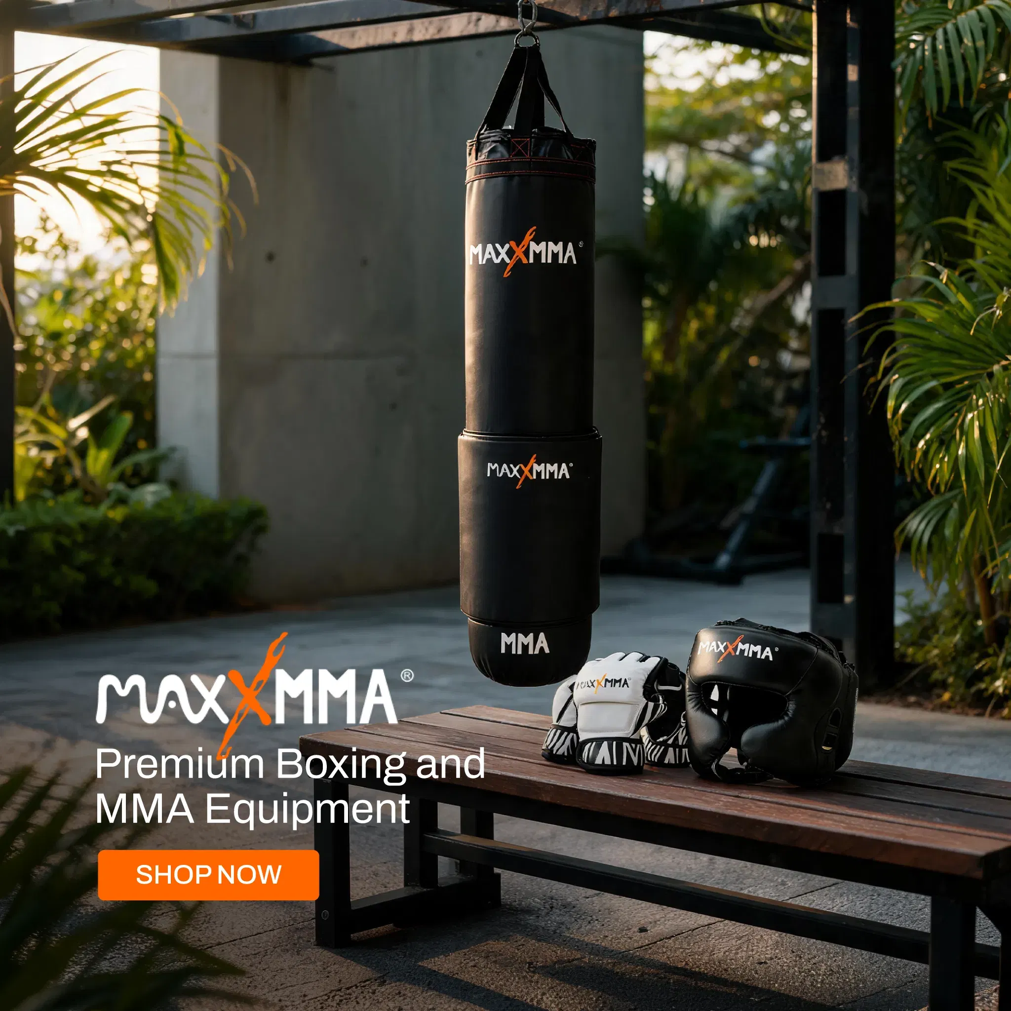 MaxxMMA Boxing