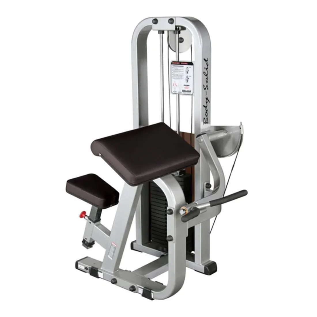 الجسم صلب SBC600/3 جهاز ثني العضلة ذات الرأسين Sel