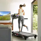 Schwinn 510T Treadmill