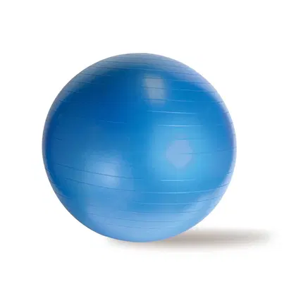Dawson Sports Anti Burst Gym Ball - 65cm