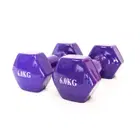 داوسون سبورتس الدمبل الفينيل - 6 Kg - Pair