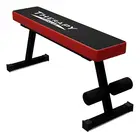 Therapy Fitness Flat Gym Bench