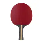Stiga Trinity 3-Star Table Tennis Bat- Black/Red