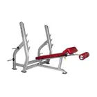 BH Fitness Decline Bench L855
