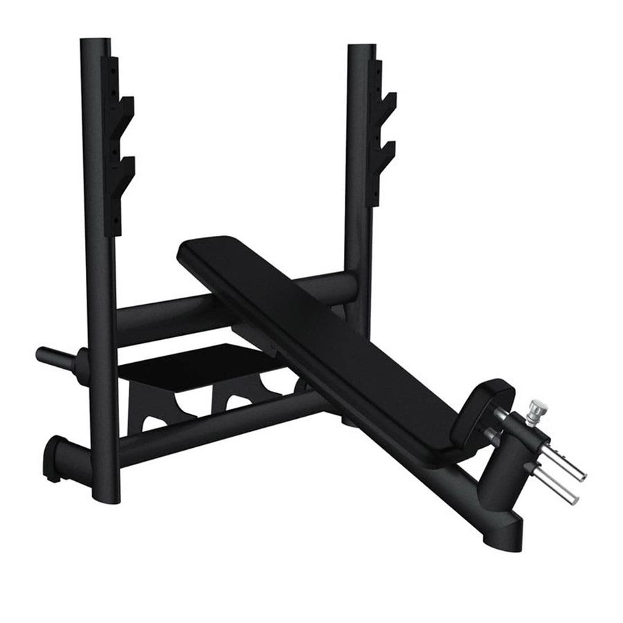 Gym80 Incline Bench | CN004009
