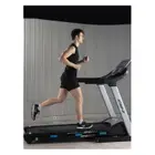BH Fitness Treadmill F9R Dual G6520N