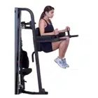 Body Solid Knee Raise Attachment