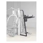Body Solid Knee Raise Attachment