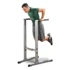 Body Solid GDIP59 Dip Station