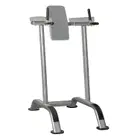 Impulse Fitness IT7010 Vertical Raise