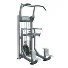 Impulse Fitness Weight Assisted Chin - Dip Combo IT9020-IT9320 - Single Station