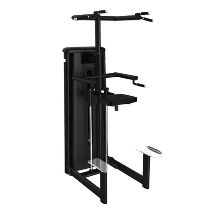 Gym80 Kneeling Chinning & Dipping Machine | CN003017