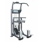 Impulse Fitness Weight Assist Chin/Dip Combo IF9320