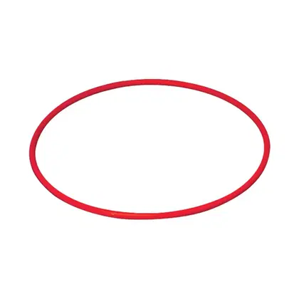 Dawson Sports Swim Hoops (Set of 4)