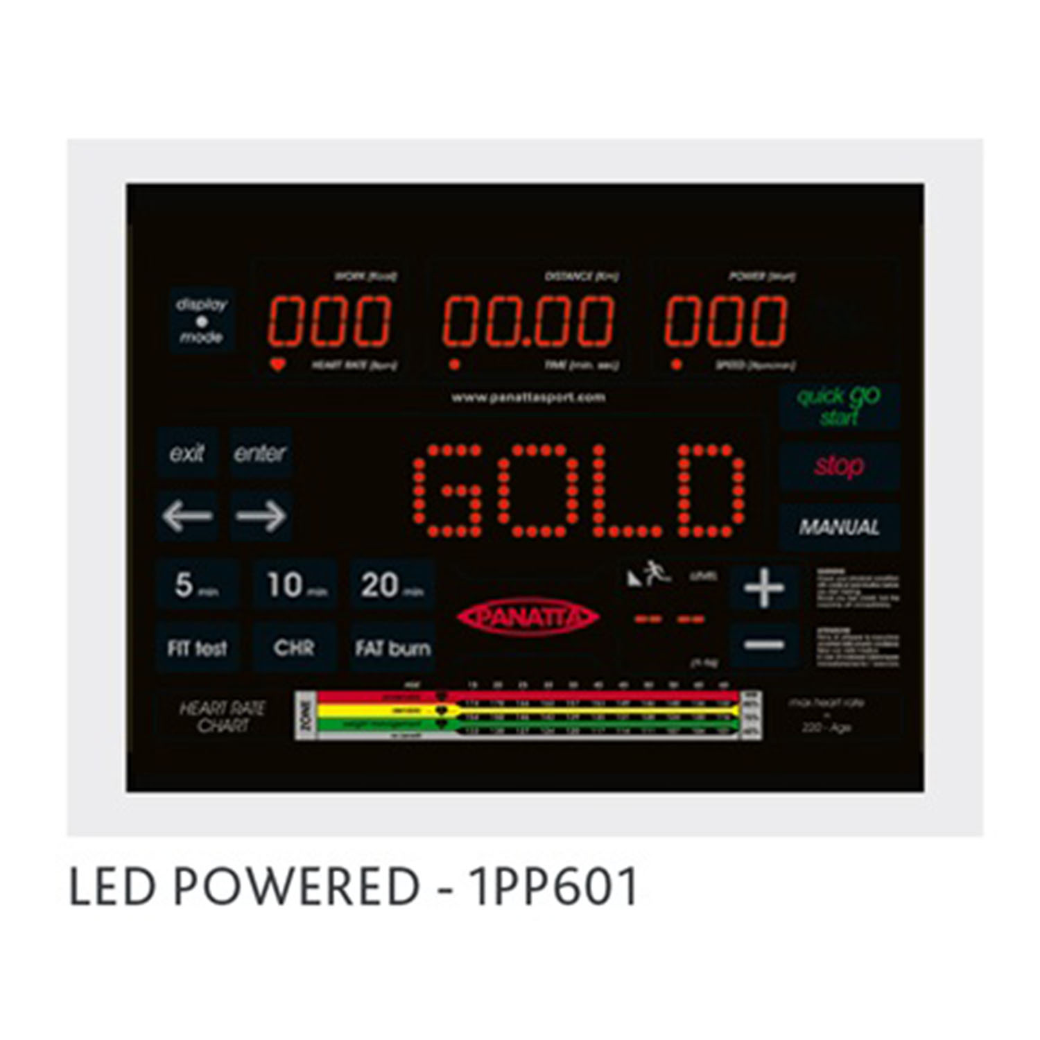 Panatta New Gold Upright Bike