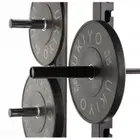 Ukiyo Bumper Plate - Single ( Sold Individually) - 5 Kg