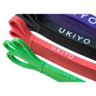 Ukiyo The Bands