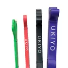 Ukiyo The Bands