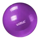 Liveup Anti Burst Gym Ball LS3222 - 55 Cm