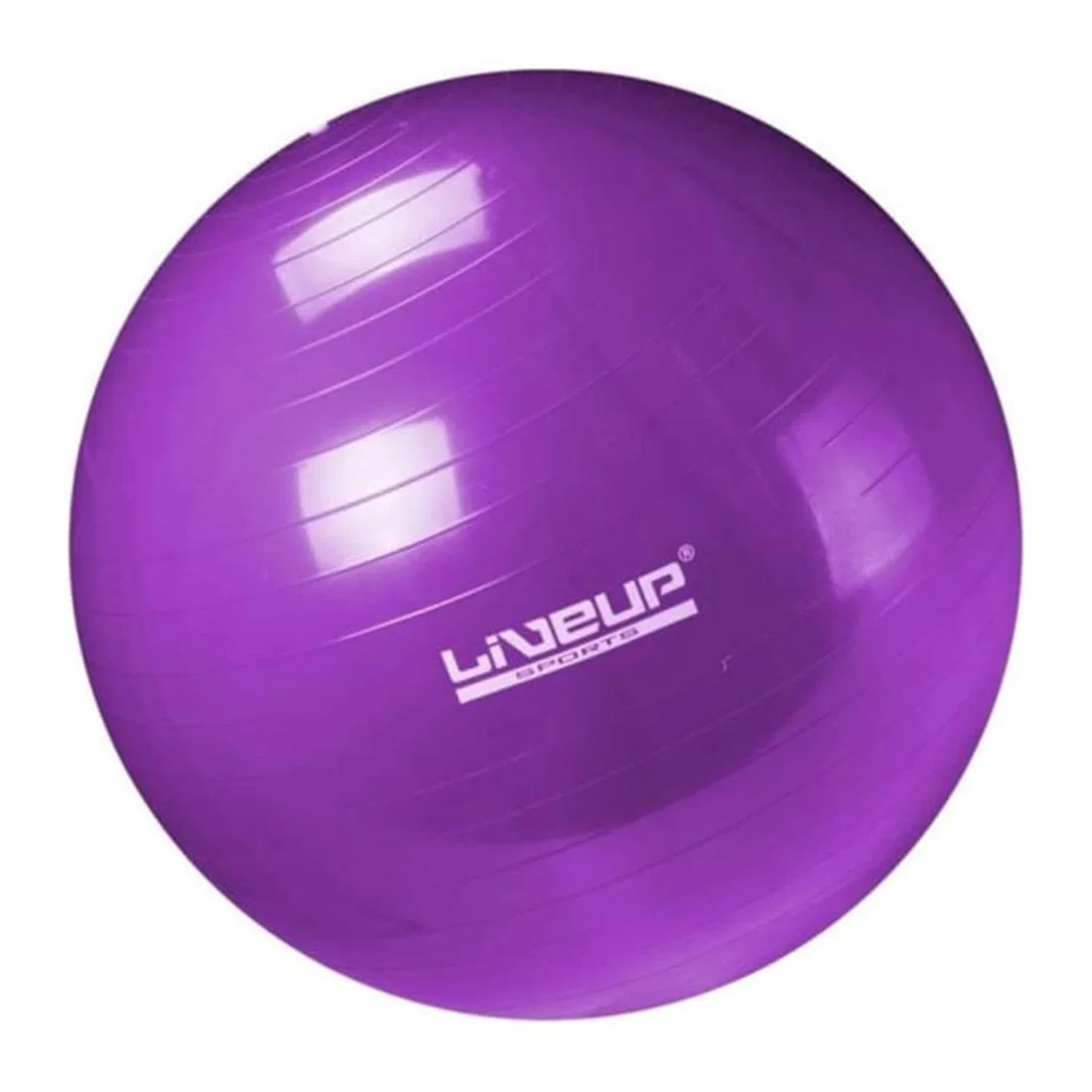 Liveup Anti Burst Gym Ball LS3222 - 55 Cm