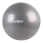 Liveup Anti Burst Gym Ball LS3222 - 75 Cm