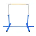 Dawson Sports Gymnastic Horizontal Training Bar - Blue