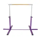 Dawson Sports Gymnastic Horizontal Training Bar - Purple