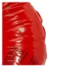 Mesuca Kid 70Cm Swimming Ring - Red
