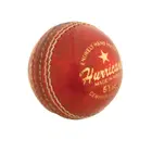 Dawson Sports Shield Cricket Ball