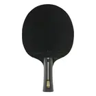ستيجا Pro Carbon + 5-star