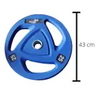 وحش اللياقة البدنية لوحة الوزن الأولمبية ذات اللون PU - 25 Kg - Single