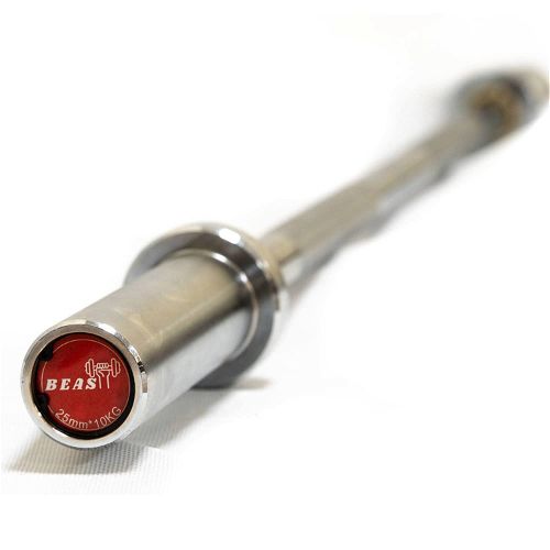 Beast Fitness Straight Barbell 10kg With Bearing Spring Collars 1.2m