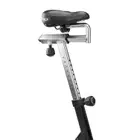 Assault Airbike Classic