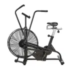 Assault Airbike Classic