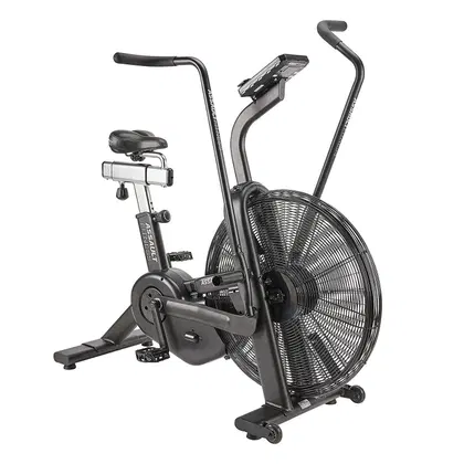 Assault Air Bike Pro