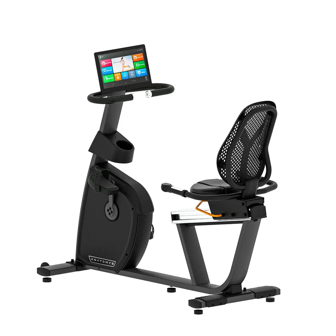 Anatomy Commercial Recumbent Bike - LCD