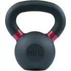 Anvil Power Coated Iron Kettlebell | 8 Kg 55 cm - 8 Kg