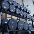Anvil Round Dumbbell Set | 2-20Kg Bundle