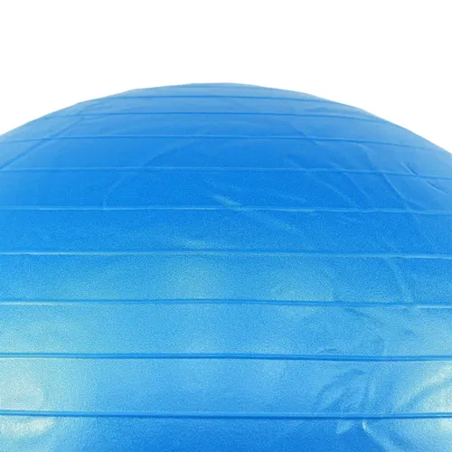 Axox Anti Burst Gym Ball - 65