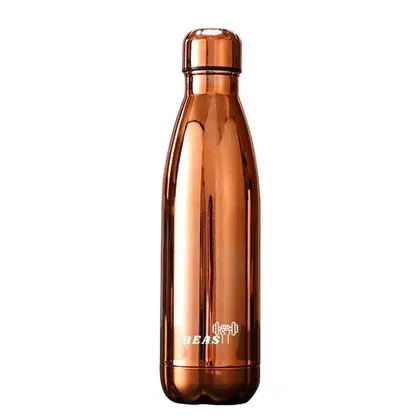 Beast Fitness Insulated Steel Bottle - Bronze - 500ml