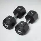 Centr x Hyrox Urethane Dumbbells (Pair) - 20 KG