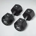 Centr x Hyrox Urethane Dumbbells (Pair) - 25