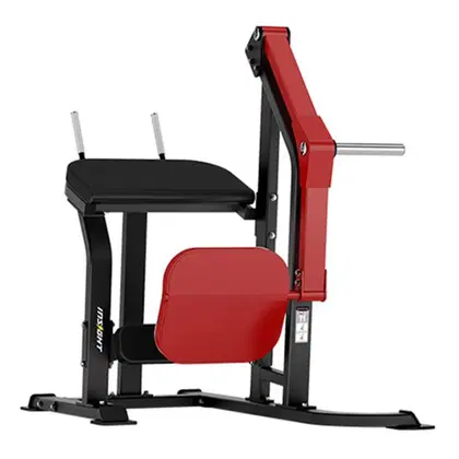Insight Fitness Rear Kick