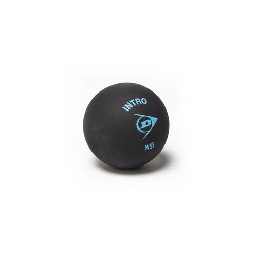 Dunlop Intro 12 X 1Bbx Squash Ball