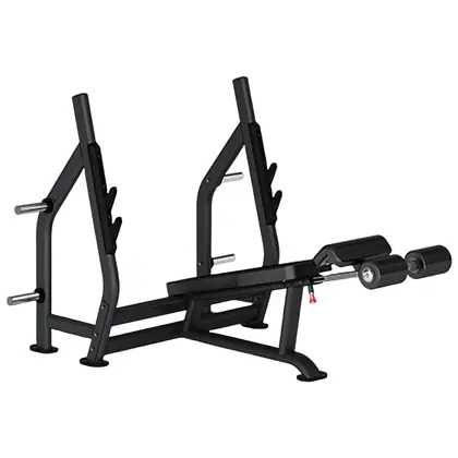 Insight Fitness Decline Olympic Bench DR006B