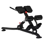 Insight Fitness DR010B Back Extension