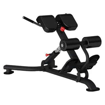 Insight Fitness DR010B Back Extension