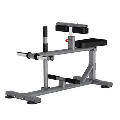 Insight Fitness Seated Calf Raise