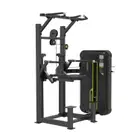DHZ Fitness Dip/Chin Assist