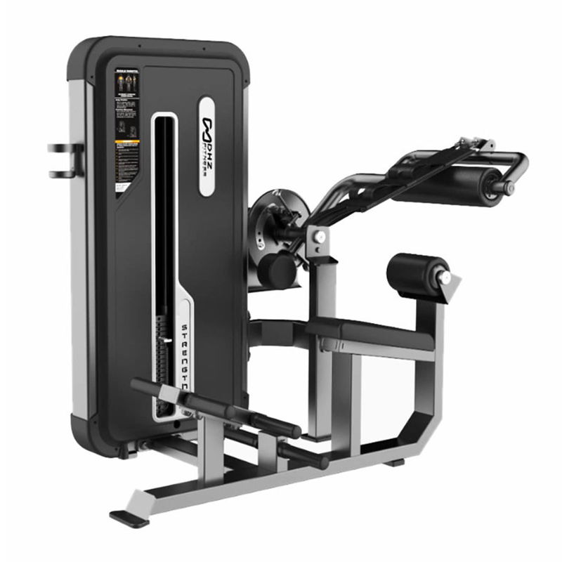 Dhz Fitness Back Extension Exercise Equipment Dhz Fitness